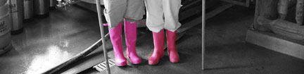 Pink Boots Society